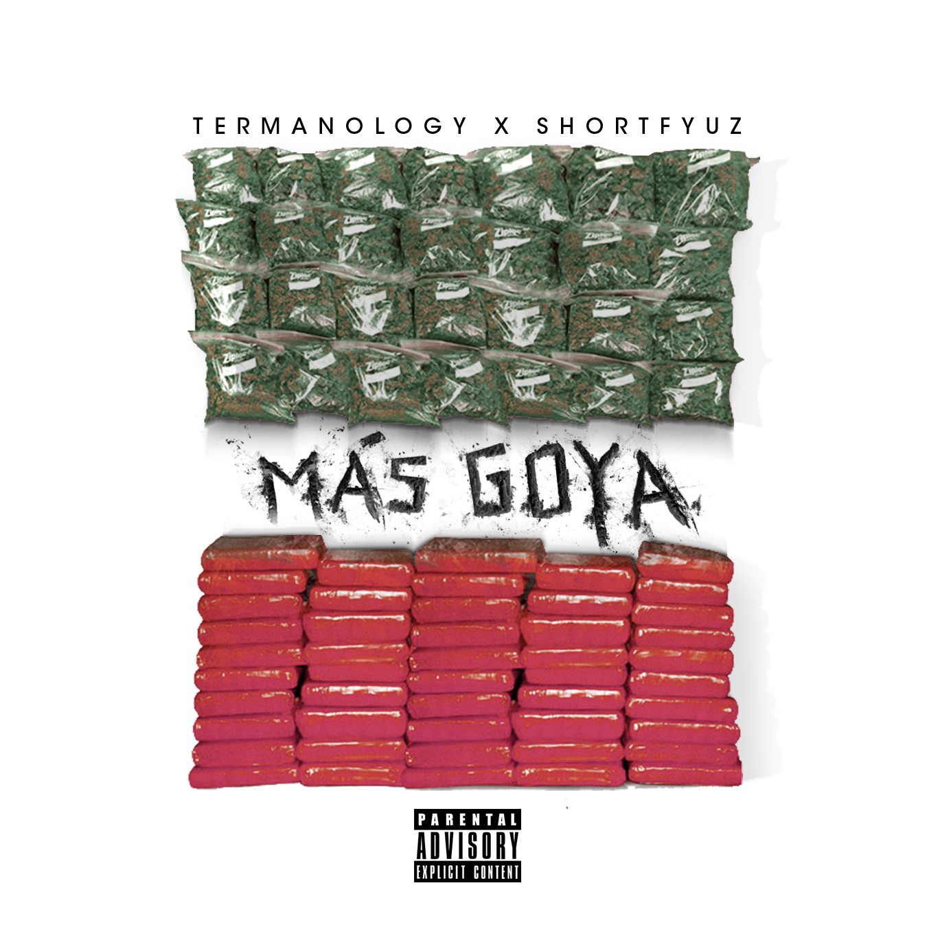 TERM_MasGOYA_cover.jpg